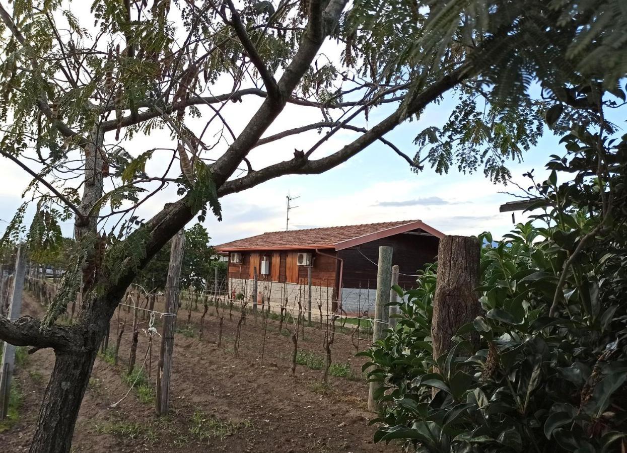 Agriturismo Borgo Baldassarre Villa Cellole Bagian luar foto